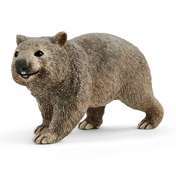 SHL14834 - Wombat - 1