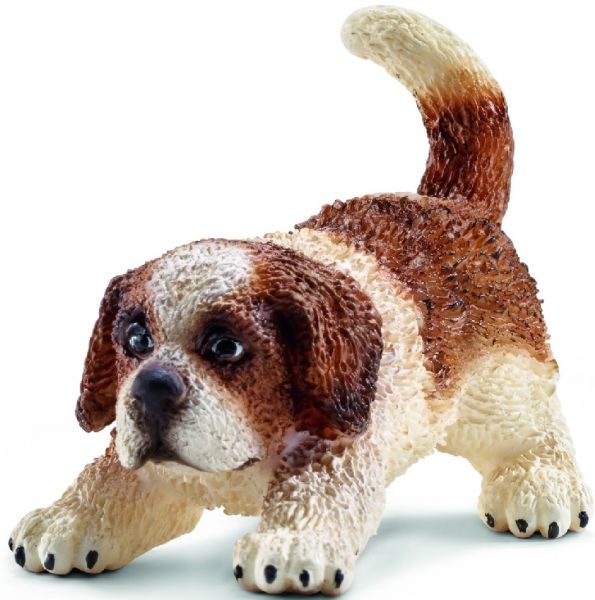 SHL16834 - Chiot Saint Bernard - 1