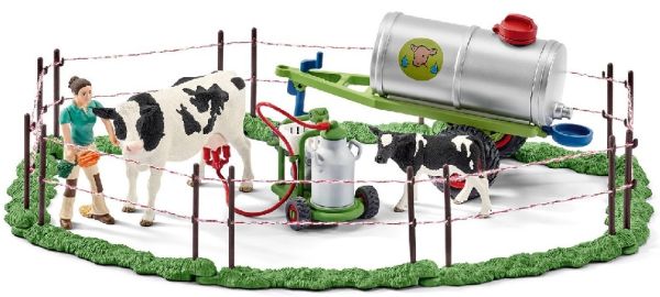 SHL41428 - Famille de bovins dans un pré - 1