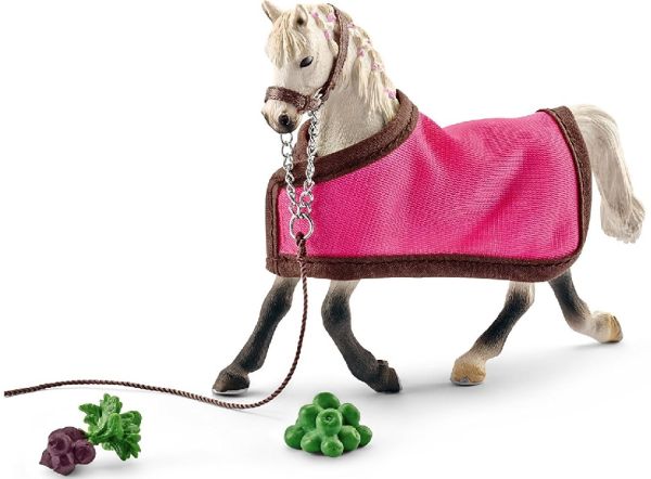 SHL41447 - Jument arabe avec couverture - 1