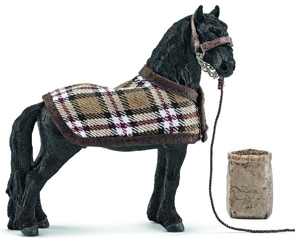 SHL42269 - Kit de soin pour chevaux frisons - 1