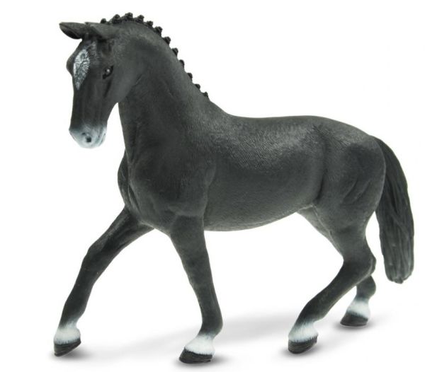 SHL72135 - Jument Hanovrienne - 1