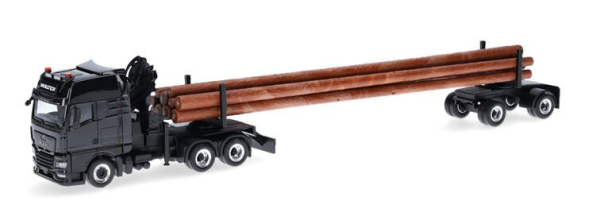 HER320580 - MAN TGX GX 6x4 transport de bois WALTER HOLZTRANSPORTE - 1