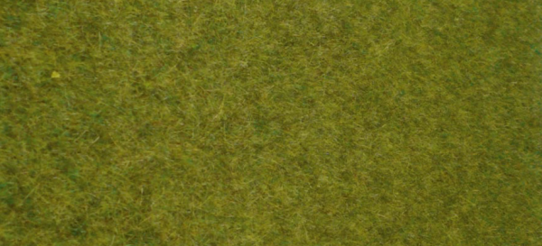 HEK1861 - Tapis d'herbes sauvages terrain boisé 45x17 cm - 1