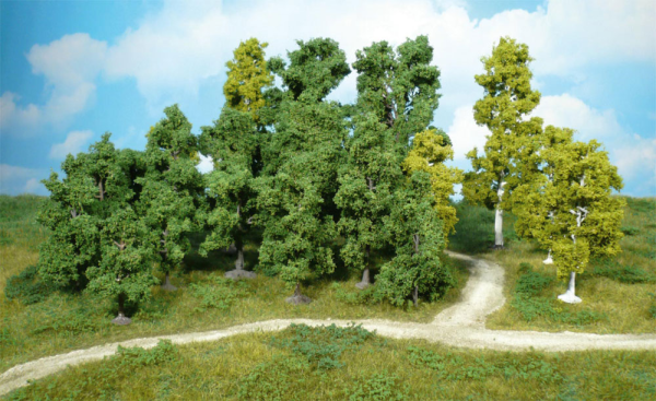 HEK1950 - Lot de 10 arbres Fruitiers 8-12 cm - 1