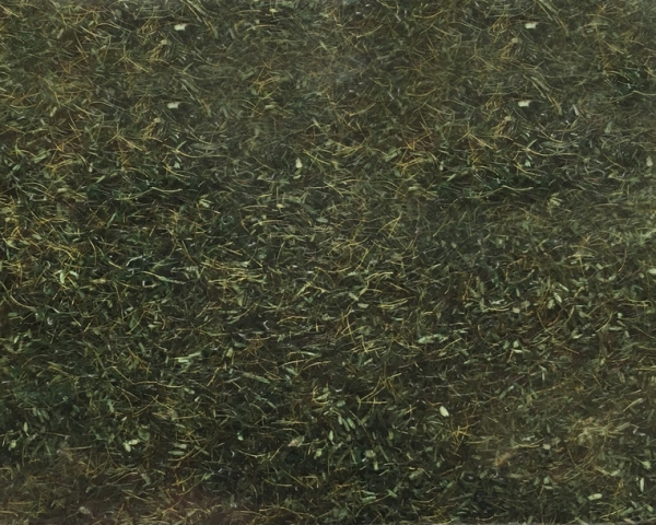 NOC08350 - Herbe de forêt - 2.5 mm -20 g - 1