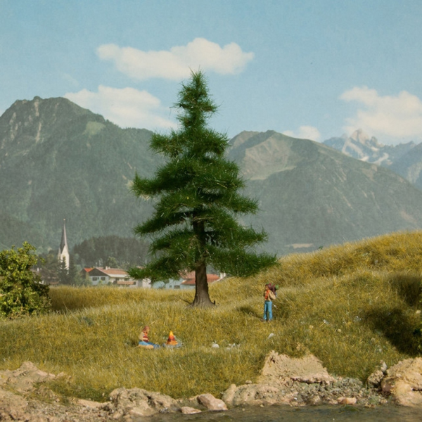 NOC21810 - Sapin Nordmann 12 cm - 1