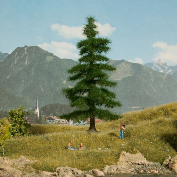 NOC21811 - Sapin Nordmann 14.5 cm - 1