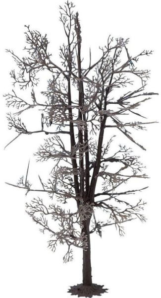 NOC22020 - Structure d'arbre - Tilleul 18.5 cm - 1