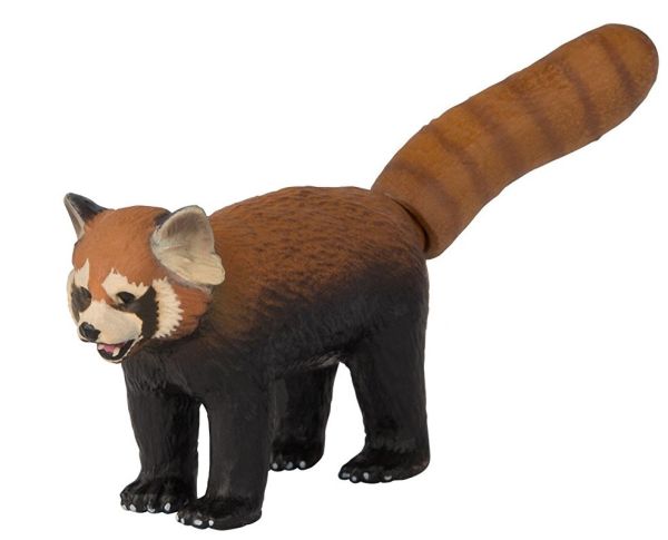 T16078 - Panda Roux - 1