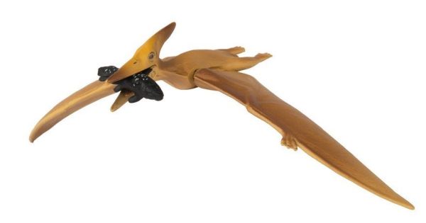 T16047 - Ptéranodon - 1