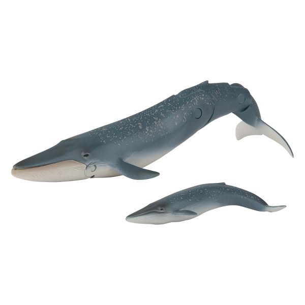 T16068 - Baleine Bleue et son petit - 1