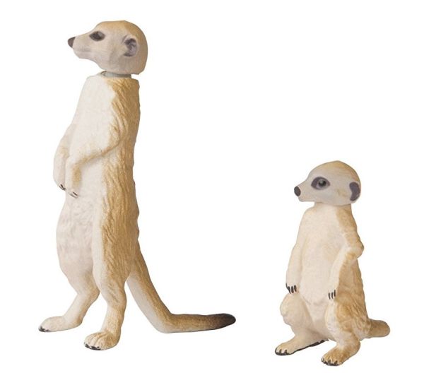 T16070 - Suricate et son petit - 1