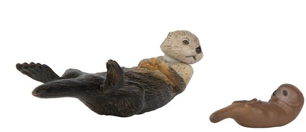 T16075 - Loutre de Mer et Son Petit - 1