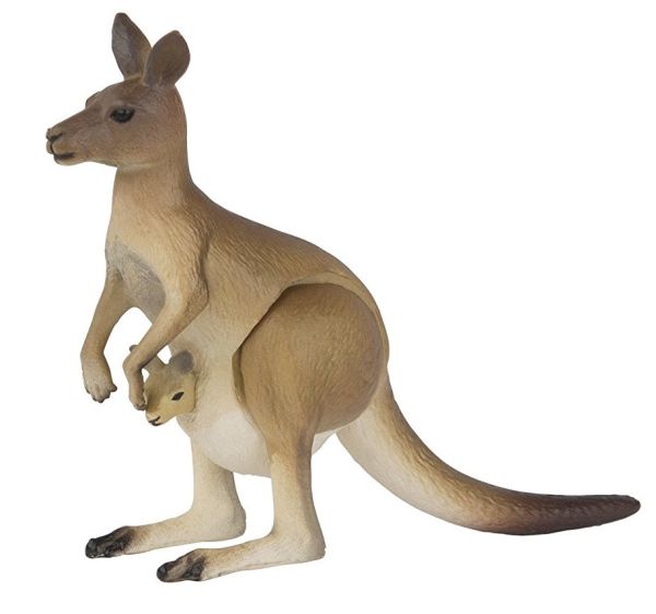 T16079 - Kangourou avec son petit - 1