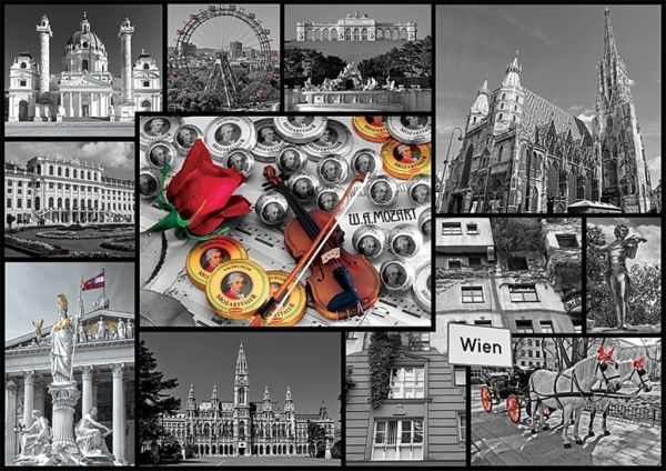 TRF10351 - Puzzle 1000 Pièces Vienne 68 x 48 cm - 1