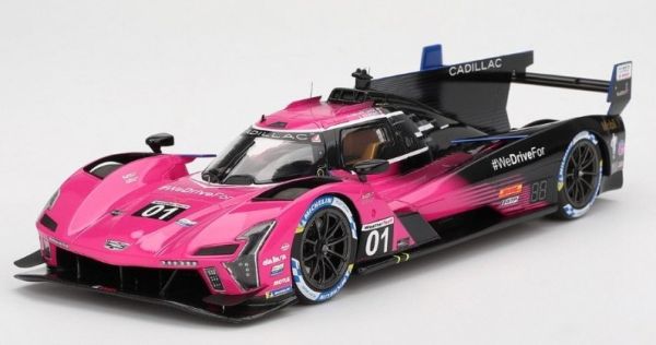 TS0611 - CADILLAC Séries-V #1 Petit Le Mans 2024 S.BOURDAIS / R.VAN DER ZANDE / S.DIXON - 1