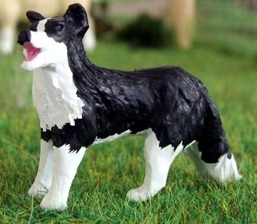 WMA16 - Border collie en position d'attente - En Miniature - 1