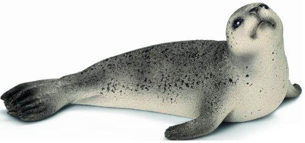 SHL14702 - Phoque - 1