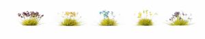 NOC06805 - 250 touffes de fleurs bruyère maïs lavande et autres 20 x 110 x 180mm