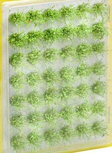 42 touffes d'herbes vertes