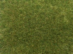 Herbes sauvages, vert Moyen 9mm 50g