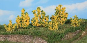 HEK11800 - 6 Buissons de forsythia 3-6 cm