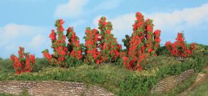 HEK11801 - 6 Buissons de roses 3-6 cm