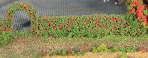 HEK11811 - 2 Haies de roses - 7x14 mm - 50 cm de long.