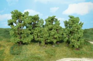 HEK1415 - 12 Arbres 6-13 cm