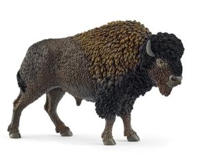 SHL14879 - Bison
