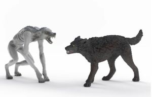 SHL14906 - Loup-garou contre Animagus