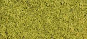 Feuillage vert clair 200 ml