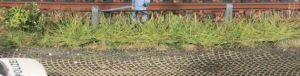 HEK1816 - 8 Bandes d'herbe printemps 10 mm