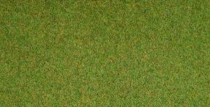 Tapis d'herbage pré 120x60 cm