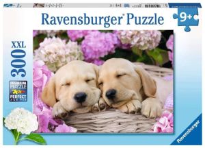 Puzzle 300 Pièces Chiens mignons dans un panier