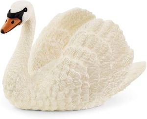 Cygne