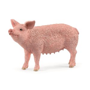 Cochon