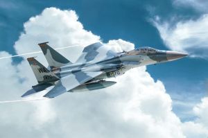 Avion de chasse F-15C Eagle  à assembler et à peindre