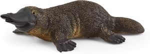 Ornithorynque