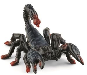 Scorpion