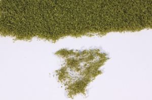 Feuillage vert olive 28x14 cm