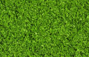 HEK15151 - Feuillage vert moyen 200 ml