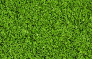 HEK15151 - Feuillage vert moyen 200 ml