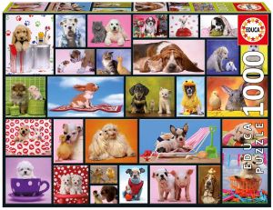 Puzzle 1000 Pièces Moments partagés