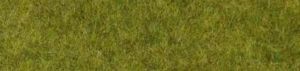 Tapis d'herbes sauvages terrain boisé 45x17 cm