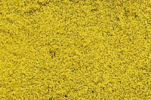 Tapis de fleurs jaunes 28x14 cm