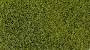 Sachet 50 g de flocage vert clair 2-3 mm