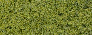 Sachet 50 g d'herbe XL de printemps 10mm