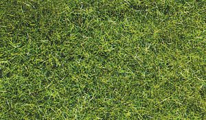 HEK3369 - Sachet 75 g d'herbe sauvage vert foncé 5-6 mm